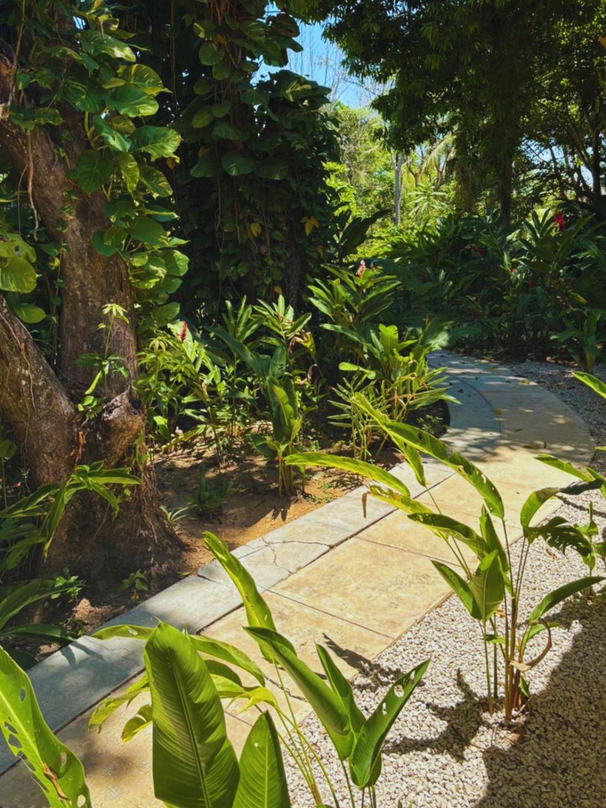 Hotel La Aldea Del Halach Huinic 팔렝케 외부 사진